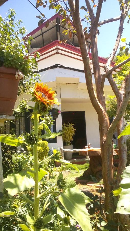 Redwood Homestay Nuwara Eliya Ngoại thất bức ảnh
