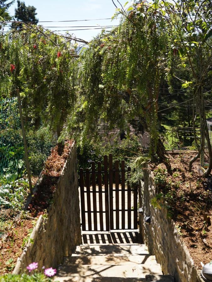 Redwood Homestay Nuwara Eliya Ngoại thất bức ảnh