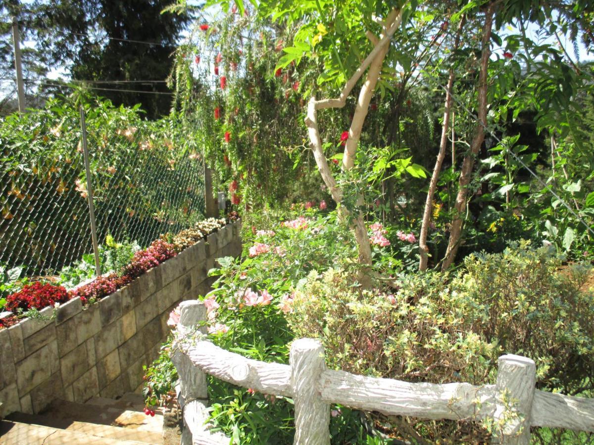 Redwood Homestay Nuwara Eliya Ngoại thất bức ảnh