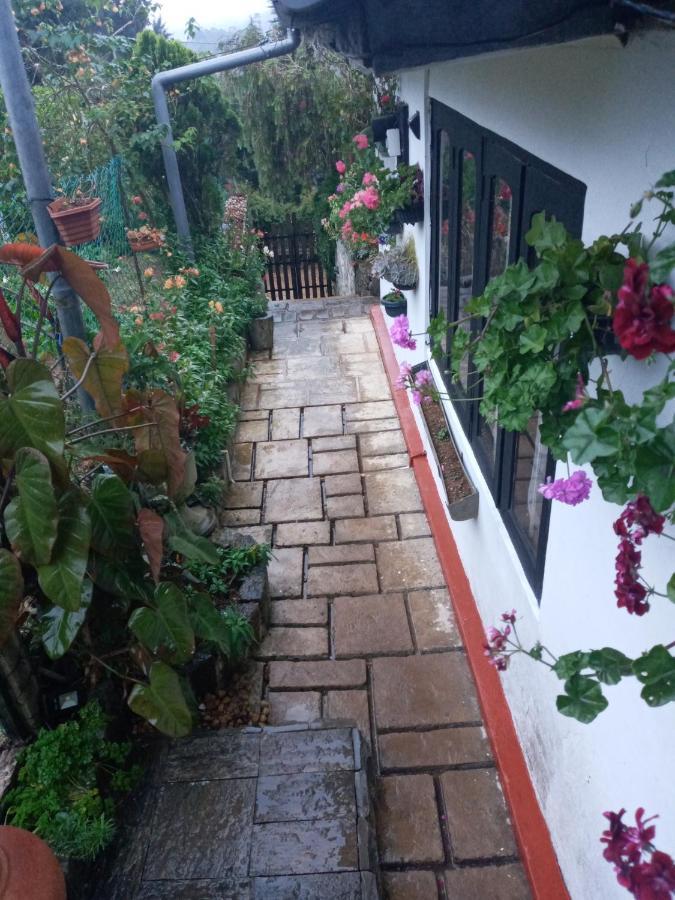 Redwood Homestay Nuwara Eliya Ngoại thất bức ảnh